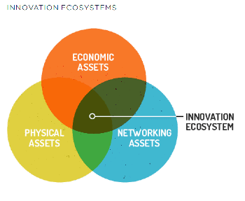 Innovation Ecosystems diagram from the Brookings Institute
